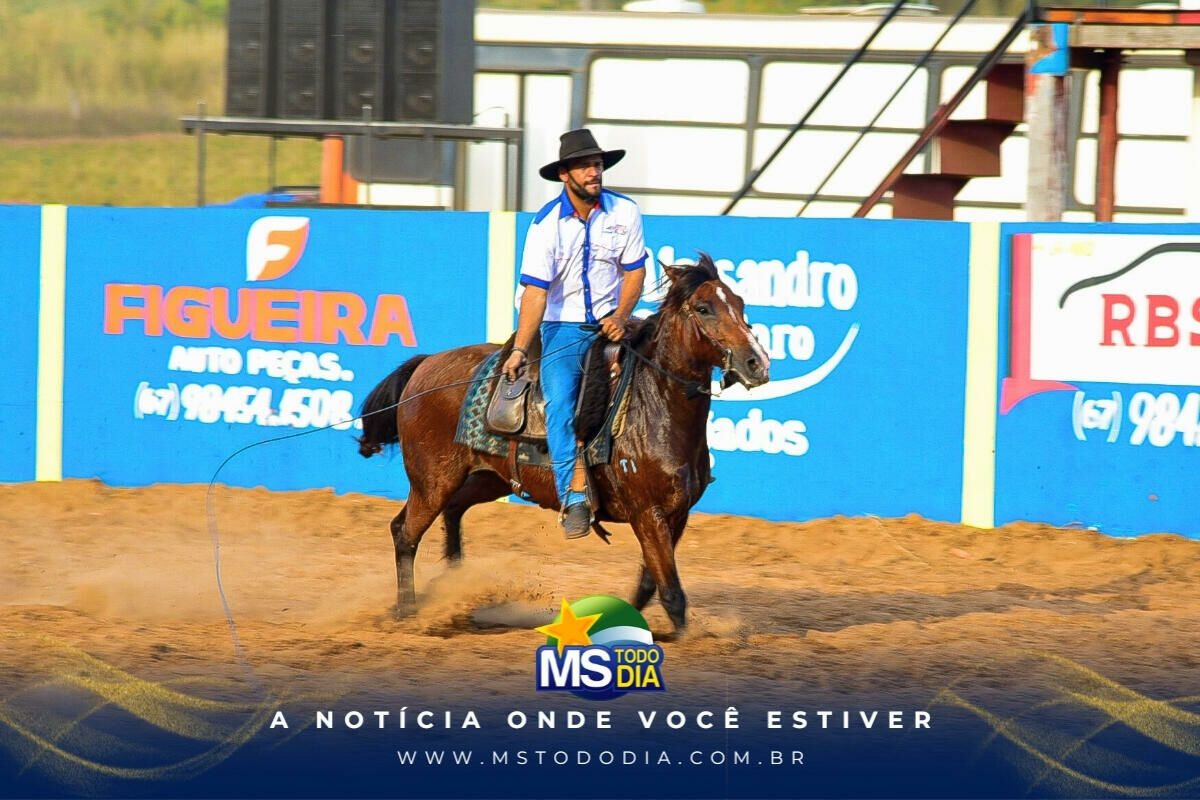 Imagem da Galeria